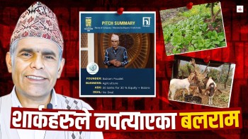 'छोरालाई पनि गोठालो बनायो भन्छन्'