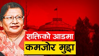बालमन्दिर जग्गा काण्ड : राम्ररी अनुसन्धान नै नभई अदालतमा मुद्दा