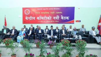 विद्या भण्डारीबारे एमालेमा के भयो छलफल ?
