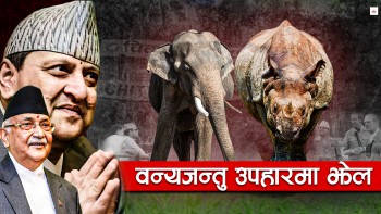 गिफ्टमा गैंडा–हात्ती, राजादेखि नेतासम्म उस्तै शैली