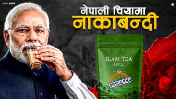 भारतले पटक–पटक किन रोक्छ नेपाली चिया ?