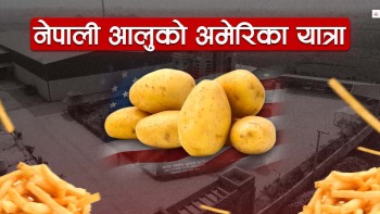 नेपाली फ्रेन्च फाइजको अमेरिका यात्रा