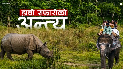 हात्ती सफारी रोकिँदा सौराहाको पर्यटन के होला ?
