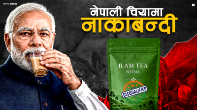 भारतले पटक–पटक किन रोक्छ नेपाली चिया ?