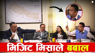 संसदीय समितिमा रमिता, टेबल ठोकाठोक र बाझाबाझ