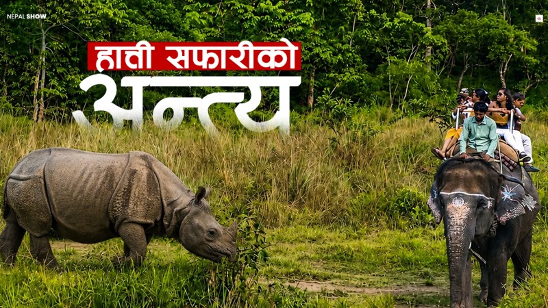 हात्ती सफारी रोकिँदा सौराहाको पर्यटन के होला ?