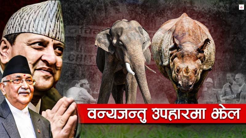 गिफ्टमा गैंडा–हात्ती, राजादेखि नेतासम्म उस्तै शैली