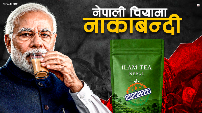 भारतले पटक–पटक किन रोक्छ नेपाली चिया ?