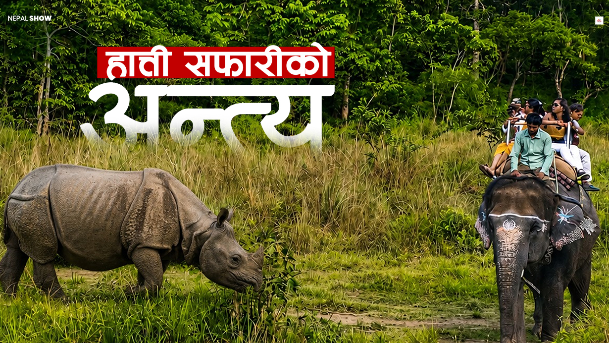 हात्ती सफारी रोकिँदा सौराहाको पर्यटन के होला ?