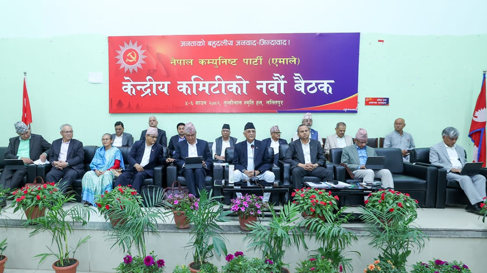 विद्या भण्डारीबारे एमालेमा के भयो छलफल ?