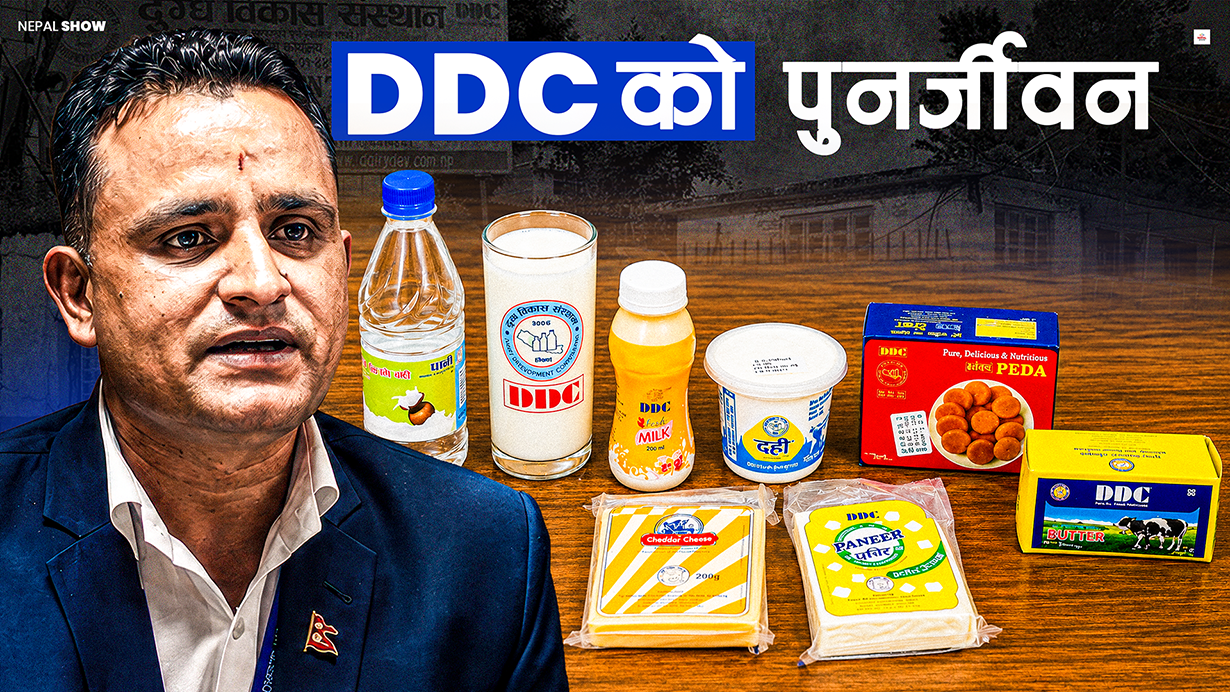 'डीडीसी २ वर्षभित्रै ऋण तिरेर नाफामा जान्छ'